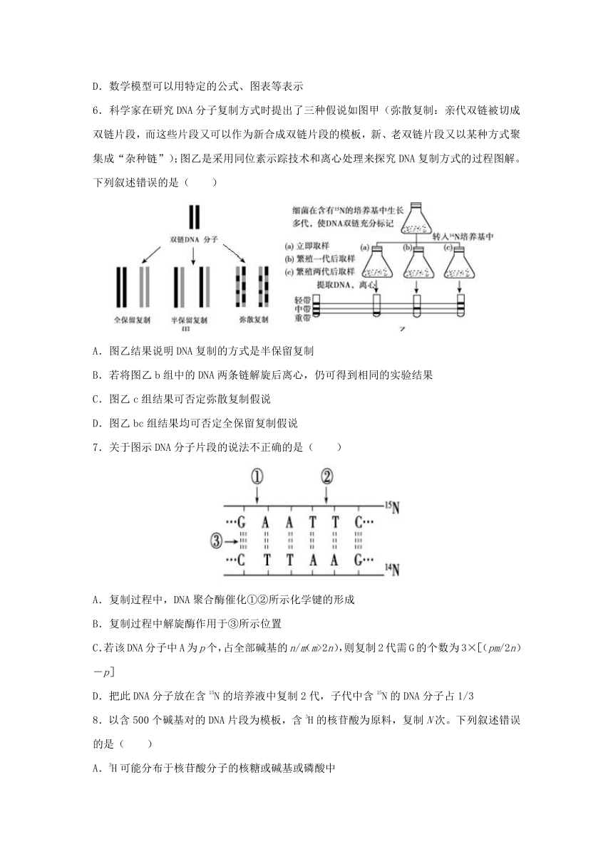 快乐暑假之高一生物：专题4+DNA分子的结构和复制