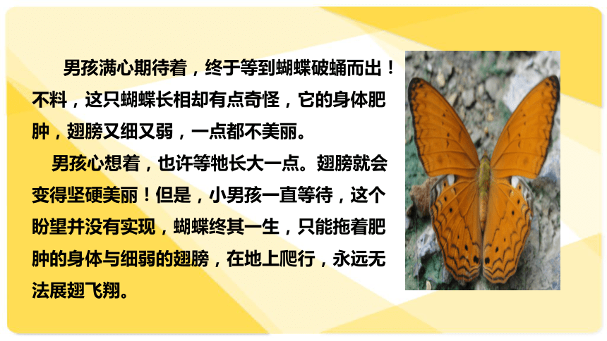 云南省昆明市禄劝彝族苗族自治县转龙镇中学粤教版七年级上册《道德与法治》课件3.1.3做学习的主人