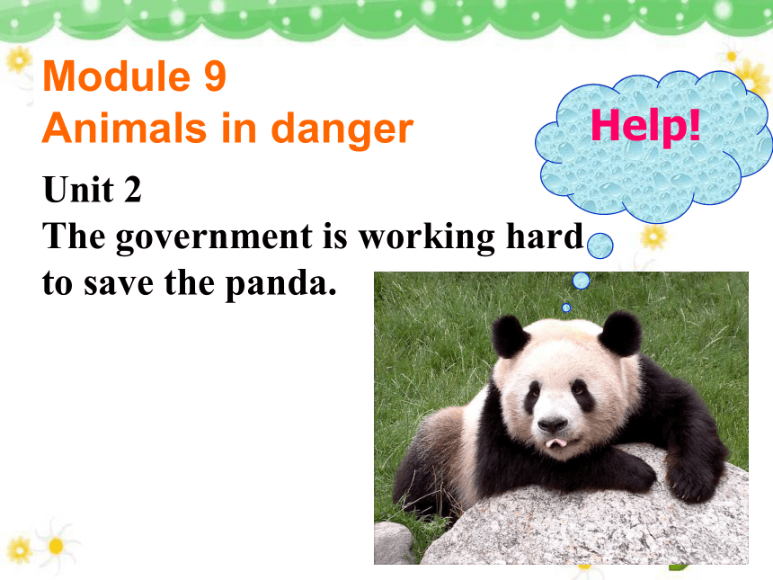 八年级上>Module 9 Animals in danger>Unit 2 The government is working hard to save the panda