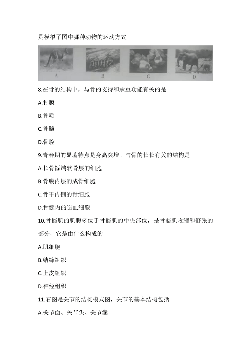 安徽省淮北市濉溪县2021—2022学年上学期第一次评估测试八年级生物试卷（WORD版，含答案）