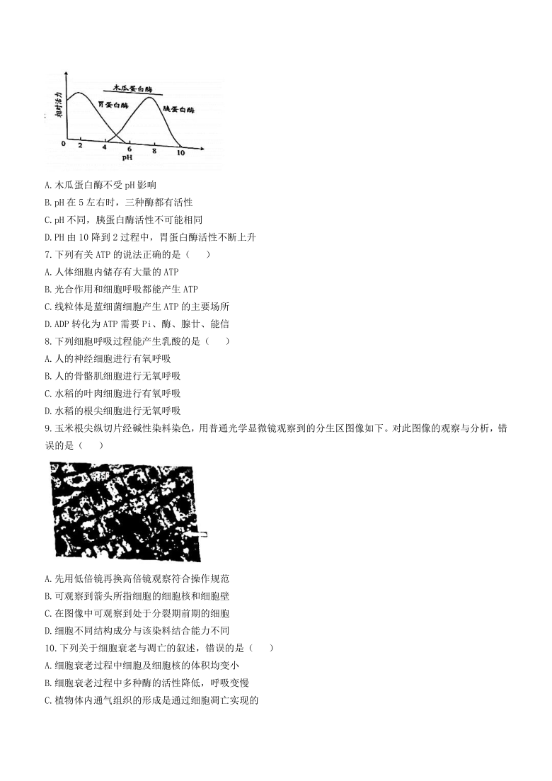 浙江省宁波市慈溪市2020-2021学年高一下学期期末考试生物试题 Word版含答案