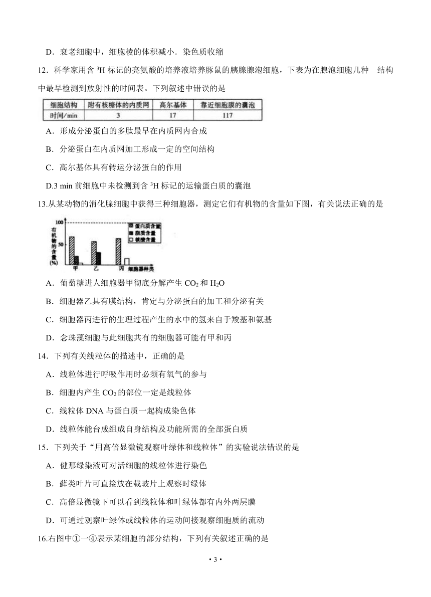 湖北省黄冈市2019届高三9月质量检测 生物