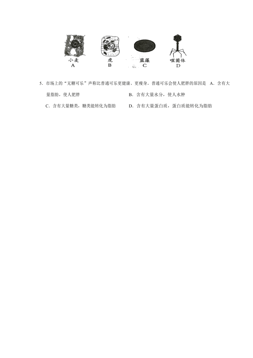 2017年6月广东省普通高中学业水平考试生物模拟试卷