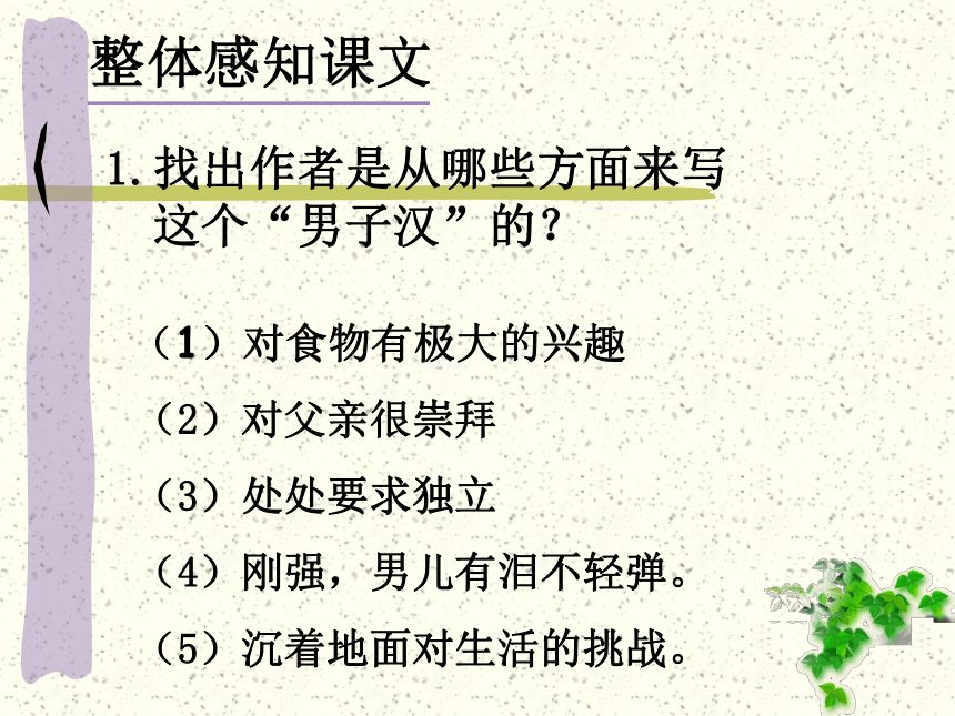 《我们家的男子汉》课件