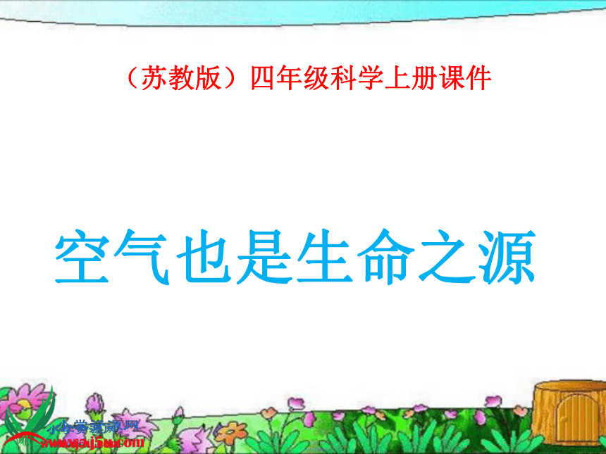 课件预览
