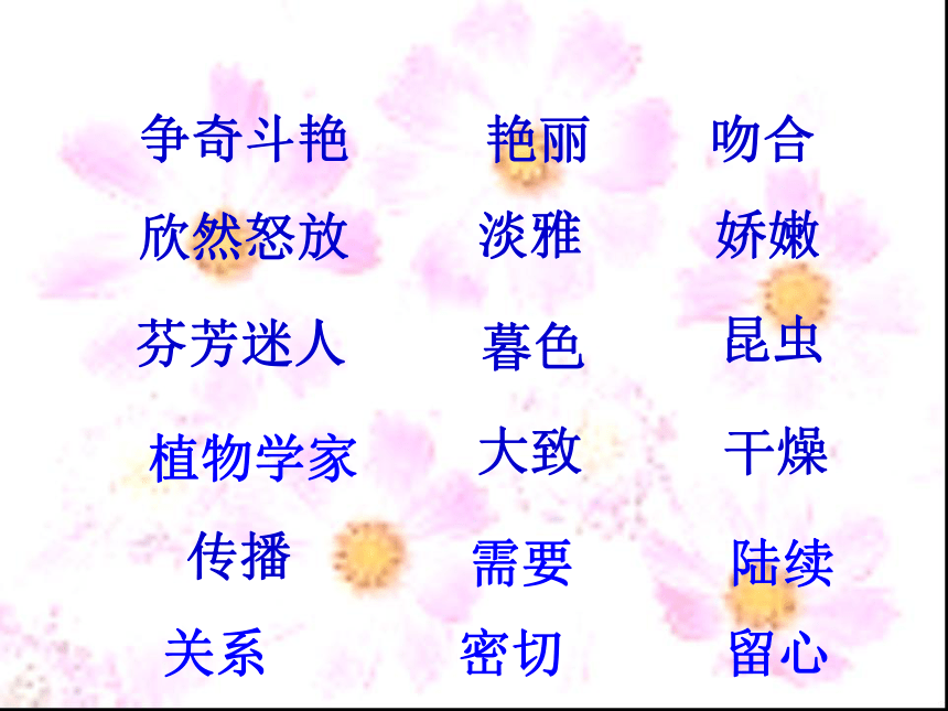 13 花钟课件3