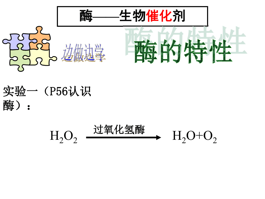 第四章第一节 酶和酶促反应