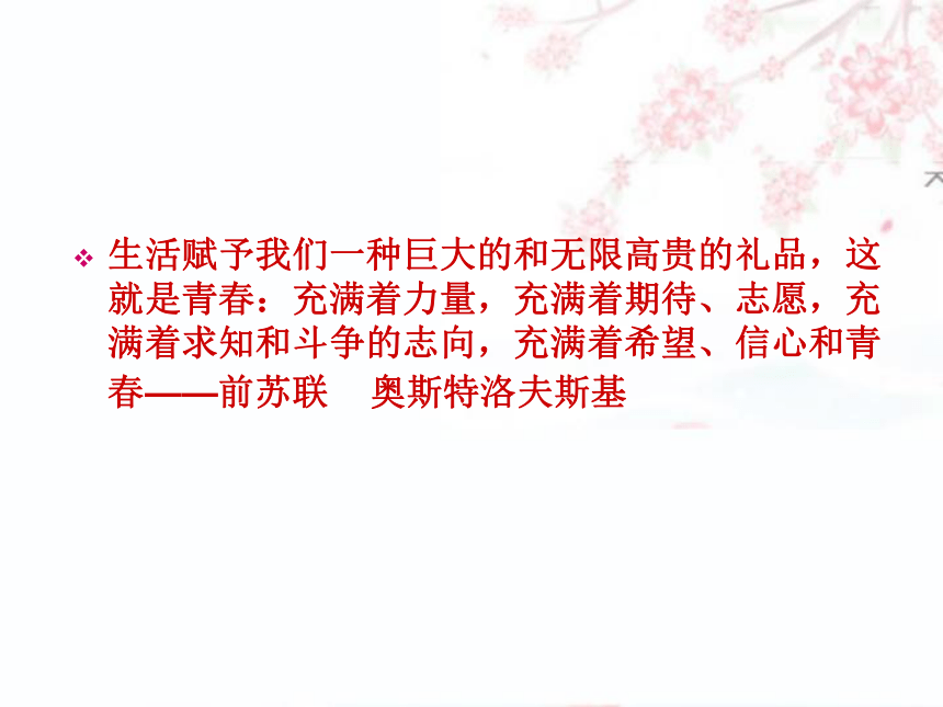 青春的誓言 主题班会课件（34张幻灯片）