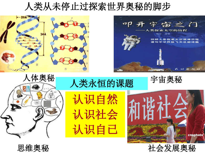 人的认识从何而来课件 (共59张PPT)