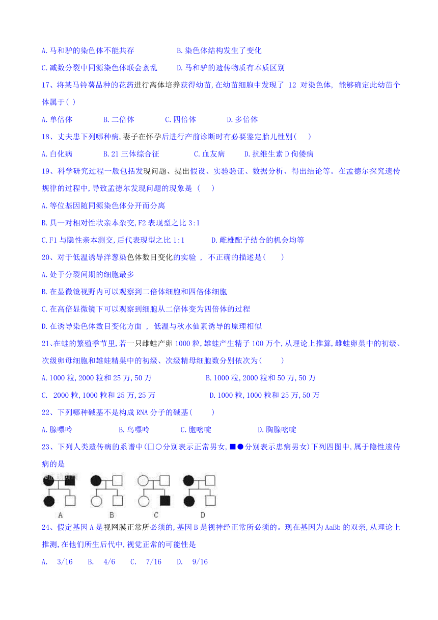 河南省兰考二高2016-2017学年高一下学期期末考试生物试题