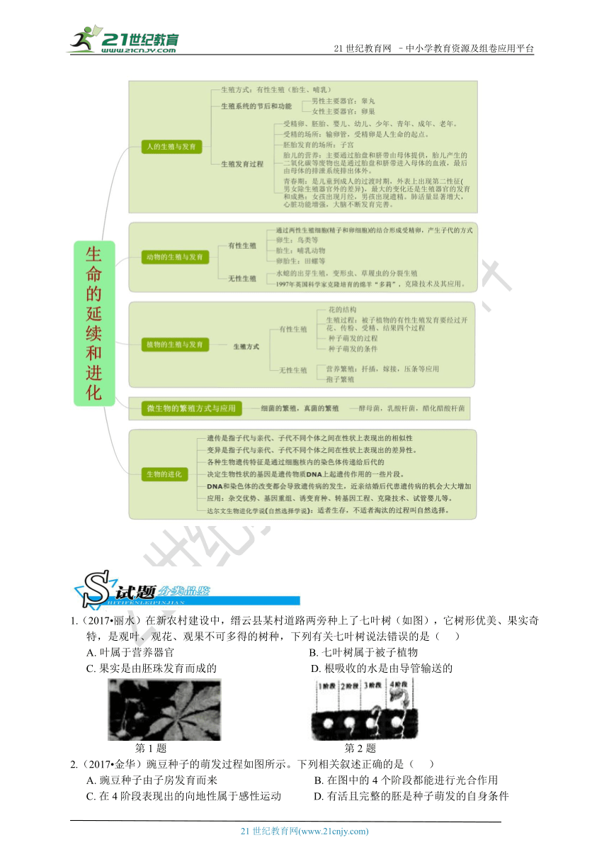 【备考】华师大版科学中考二轮复习 第五讲 生命的延续和进化（真题+模拟题）