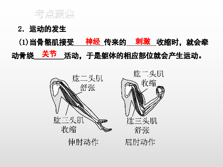 2020版中考生物二轮复习（江西专用）课件 六、动物的运动和行为（35张ppt）