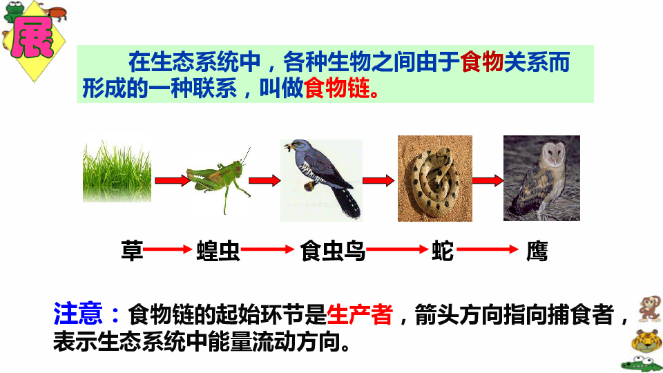 冀教版八下生物722食物链和食物网课件19张ppt