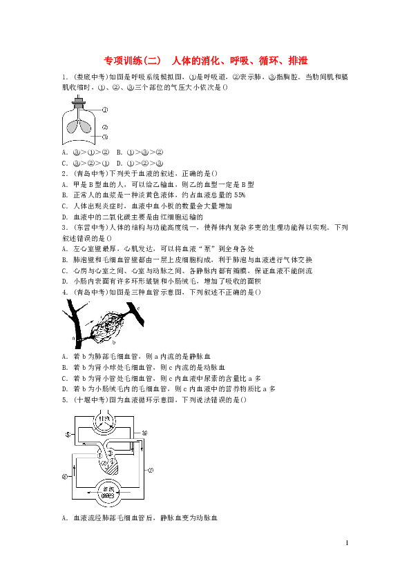中考生物总复习主题四生物圈中的人专项训练二人体的消化呼吸循环排泄含答案