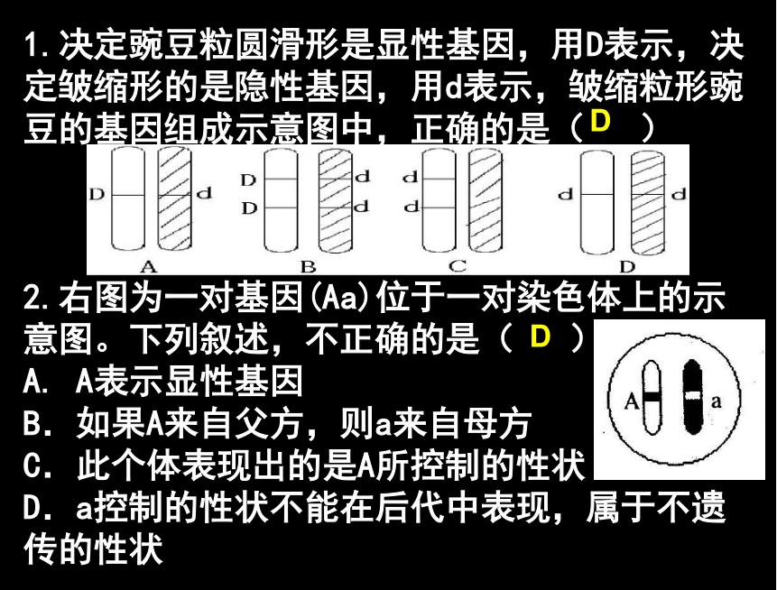 2019专题9：生物的遗传、变异课件(共17张PPT)