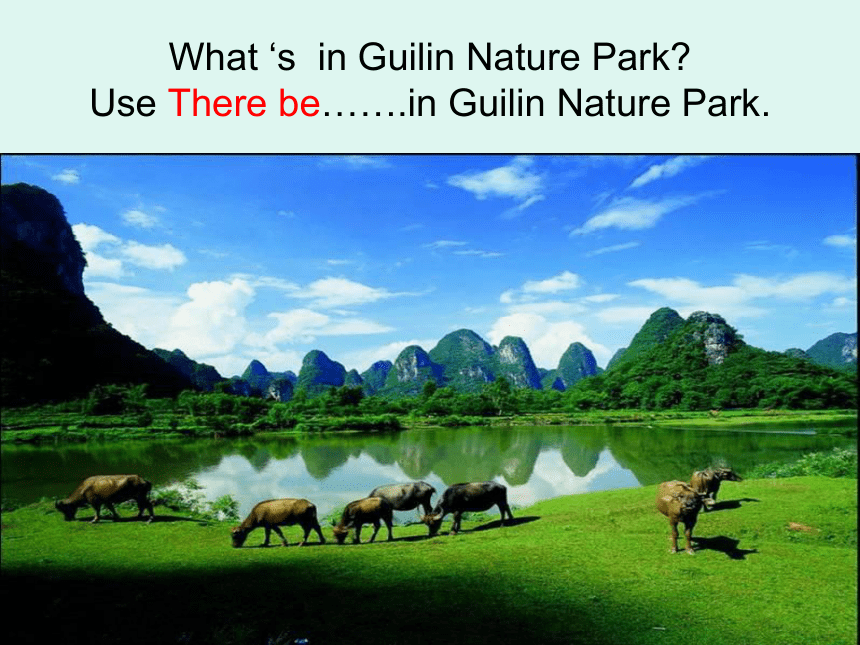 Unit 6 In a nature park PA Let’s learn课件
