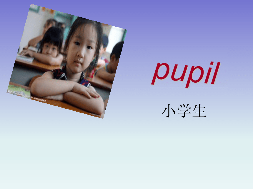 Unit 2 She is a new pupil Section B课件