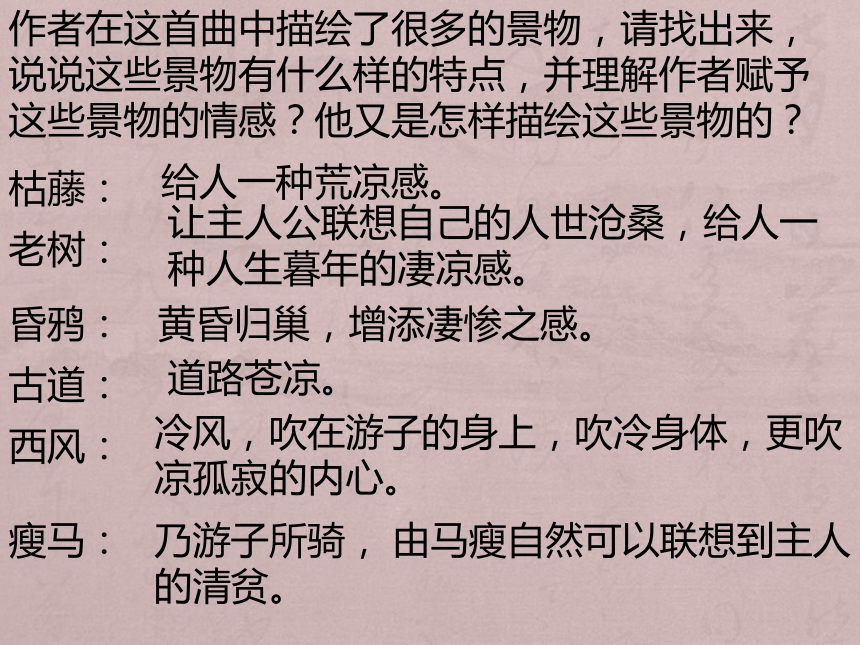 天净沙.秋思  课件