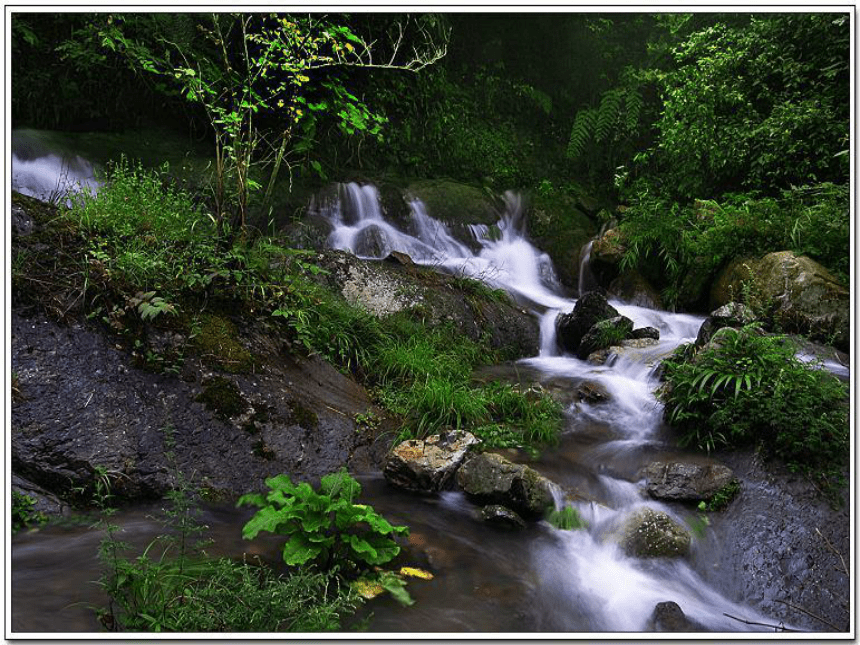 小溪流水响叮咚 课件 (5)