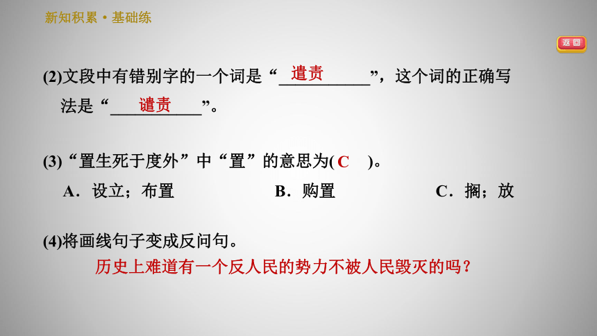 人教版八年级下册语文习题课件 13.最后一次讲演（24张ppt）