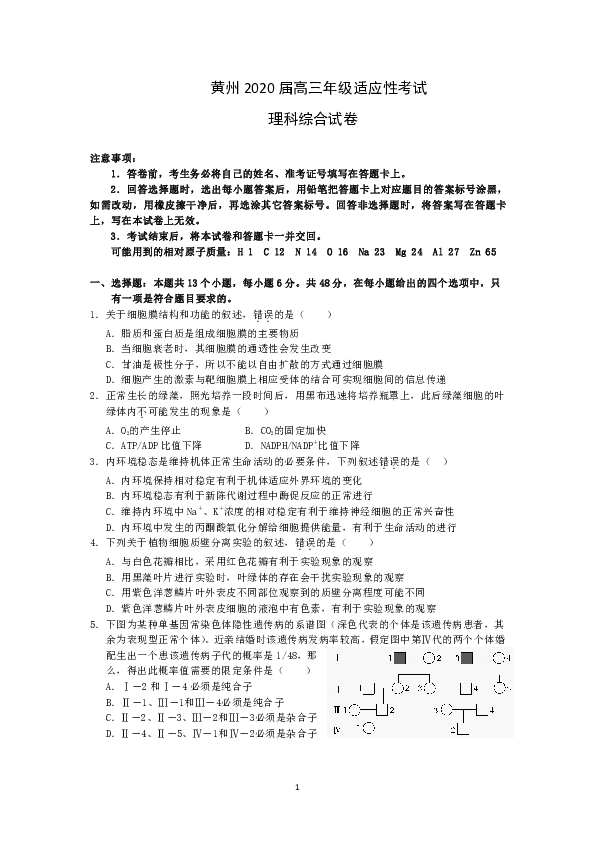 湖北省黄冈市黄州区2020届高三适应性考试理科综合试题 Word版含答案