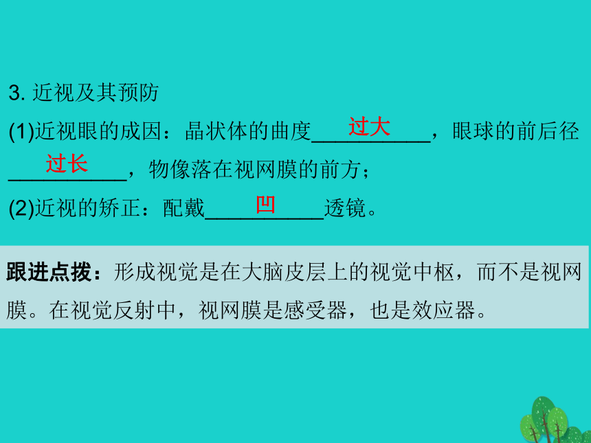 2017年中考生物复习--人体生命活动的调节 课件（53张）