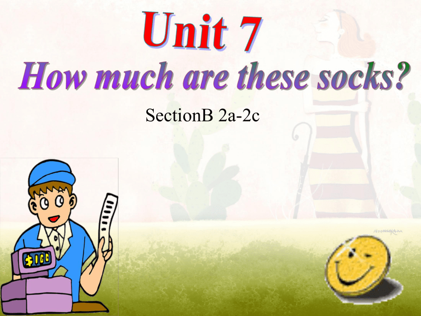 Unit 7 How much are these socks?SectionB 2a-2c课件