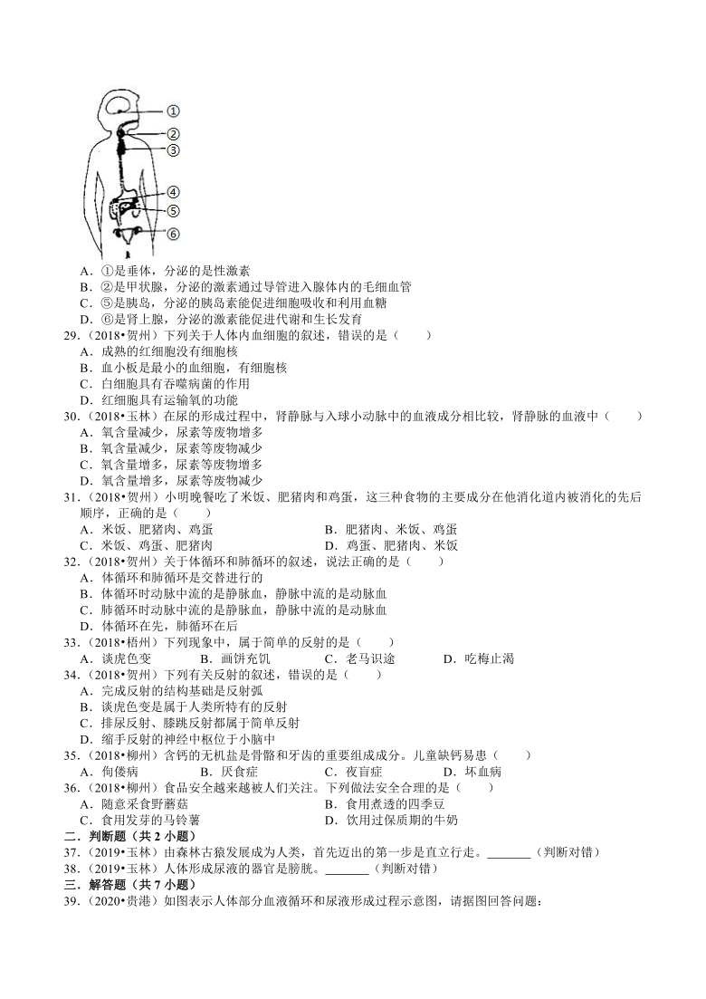 广西2018-2020年近三年中考生物试题分类（4）——生物圈中的人(含解析)