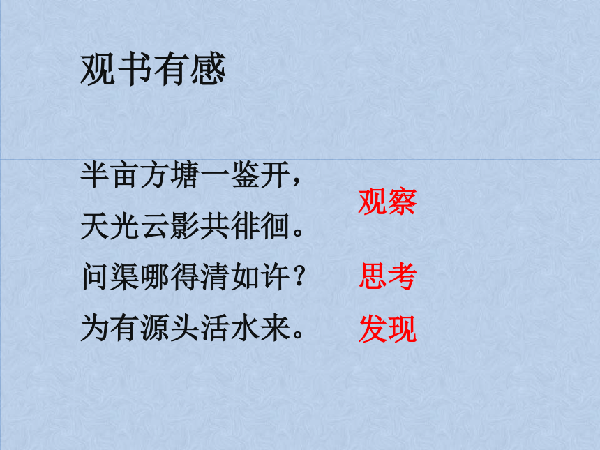 苏教版（国标本）小学语文四年级下册第四单元《“番茄太阳”》课件（21张ppt）