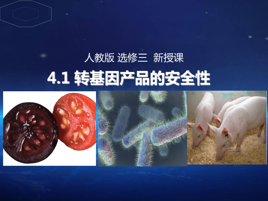 选修三    专题4 生物技术的安全性和伦理问题     4.1 转基因生物的安全性转基因产品的安全性 （共51张PPT）