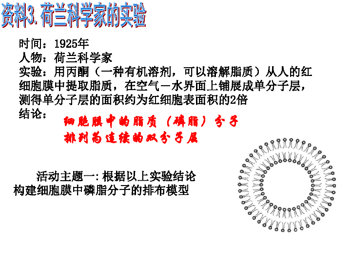 人教版生物必修1  4.2 生物膜的流动镶嵌模型（共24张ppt)