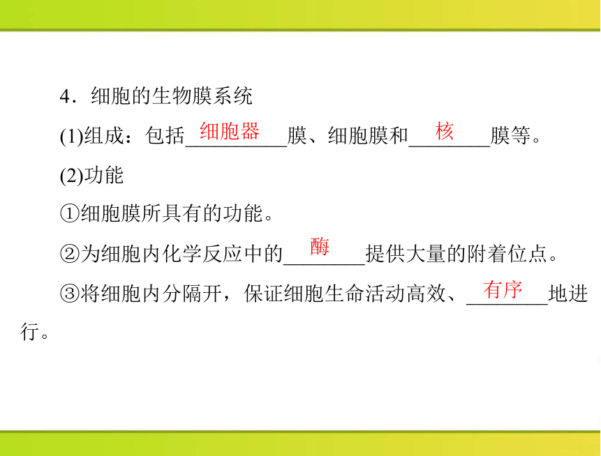 2013年《随堂优化训练》第3章第2节细胞器——系统内的分工合作