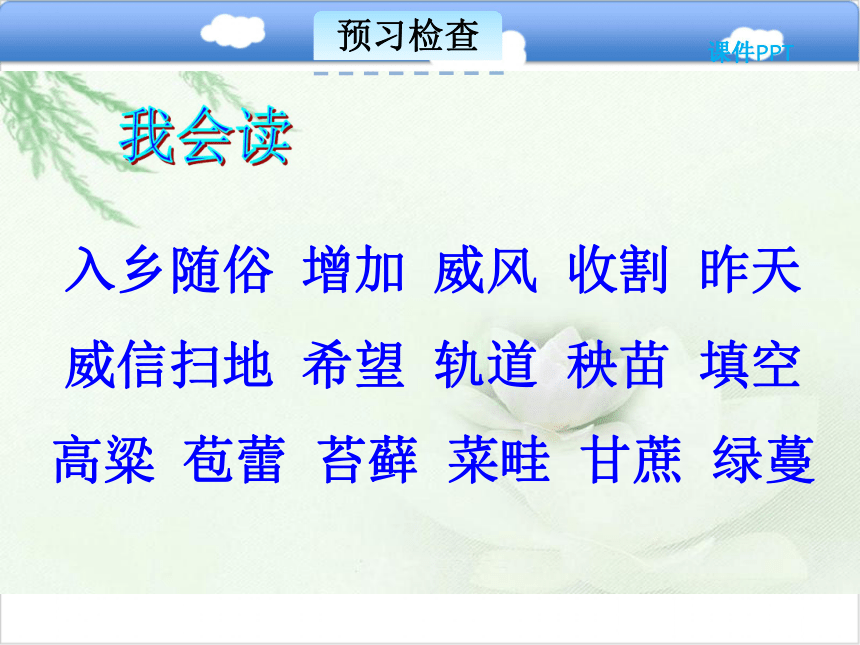 6.3 在夏天里成长课件