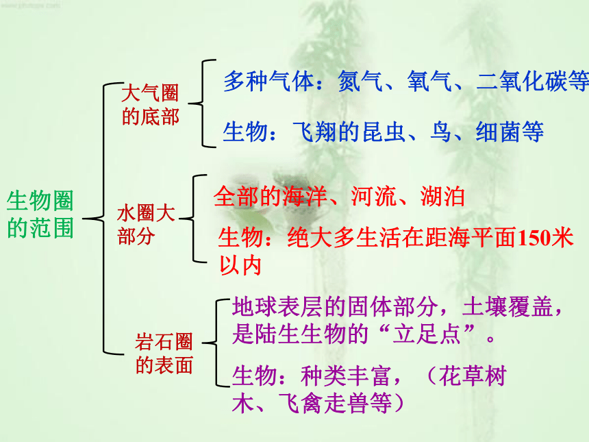 广东省台山市新宁中学人教版七年级生物上册课件 1.2.3生物圈是最大的生态系统 （共20张PPT）