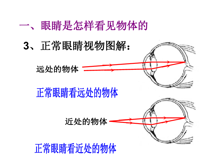 沪粤版八年级上册物理  3.7 眼镜与光学仪器 课件   (共27张PPT)