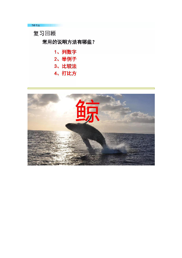 统编版 五年级上册习作例文《鲸&风向袋的制作》知识点+图文解读（27页）