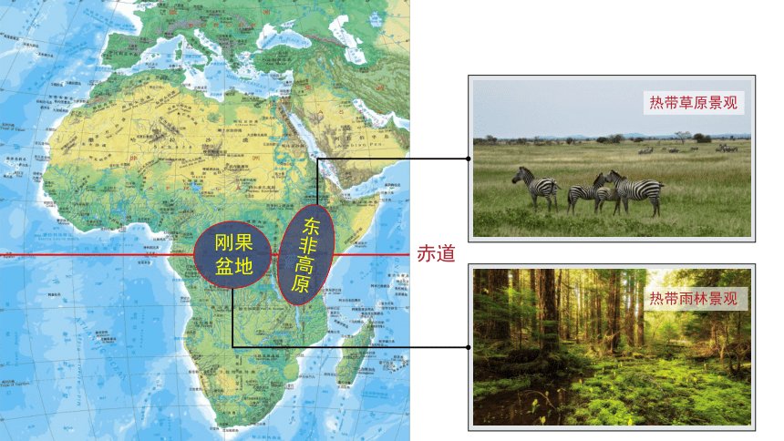 自然地理环境的整体性(共37张PPT)