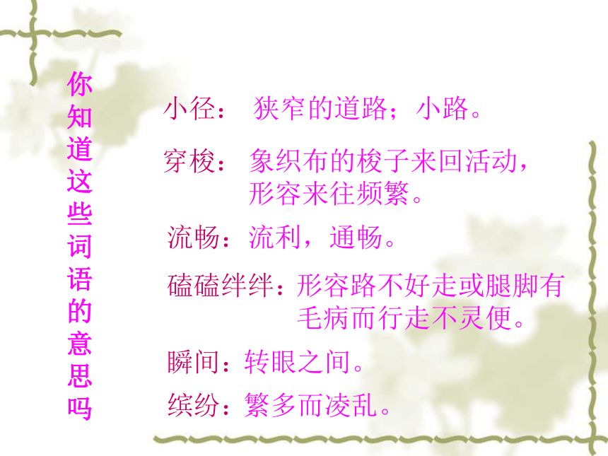 课件：16_触摸春天（人教版）