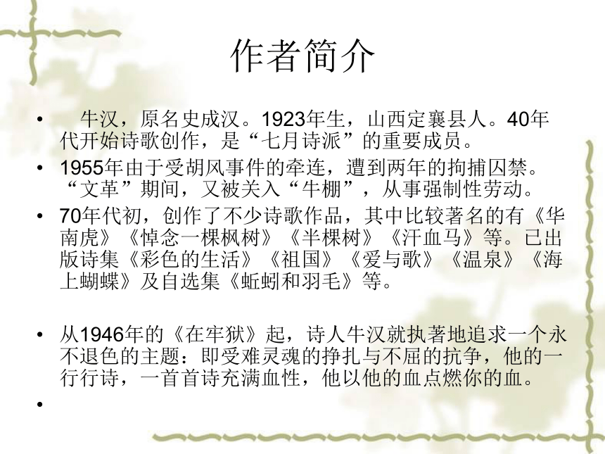 汗血马 课件