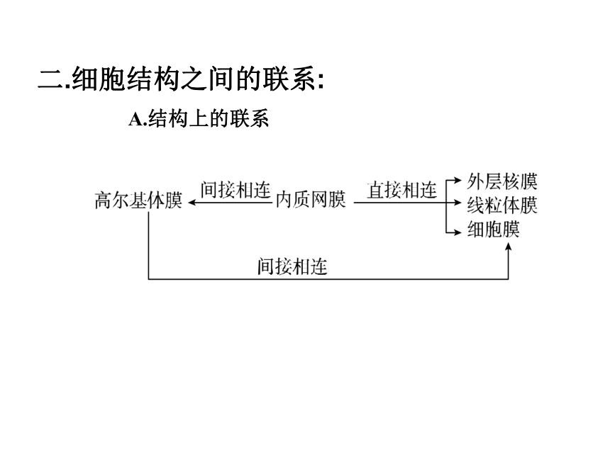 浙江省温州市平阳三中2012-2013学年高二生物《细胞结构》复习课件