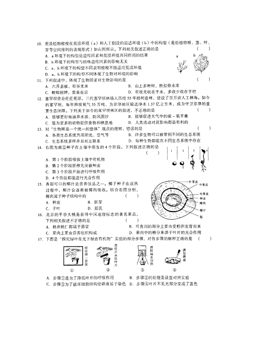 北京市海淀区2018届九年级上学期期中考试生物试题（图片版）