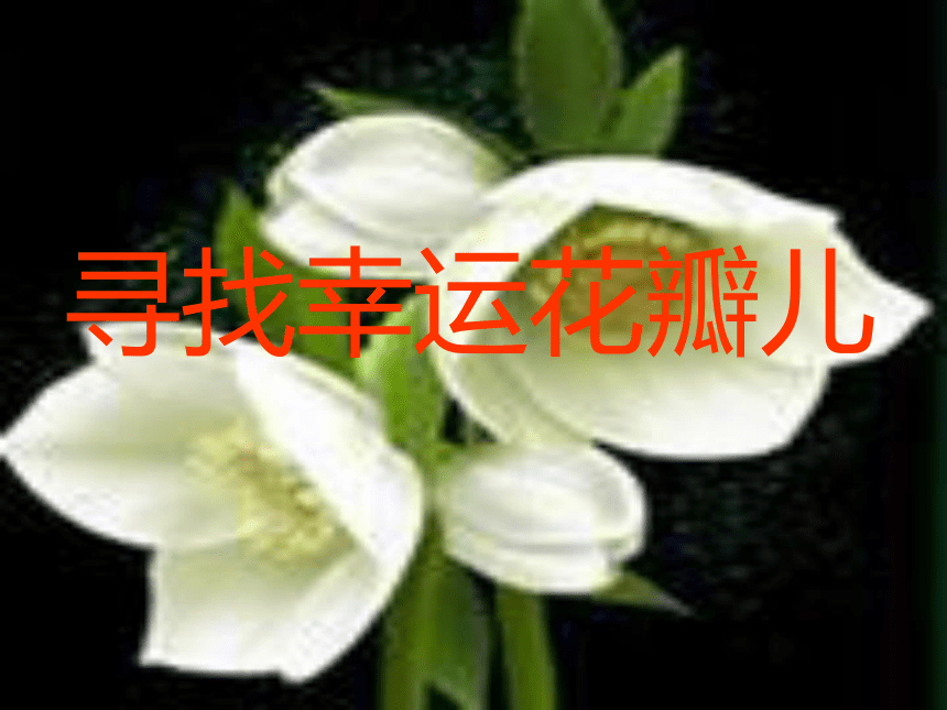 1《寻找幸运花瓣儿》课件