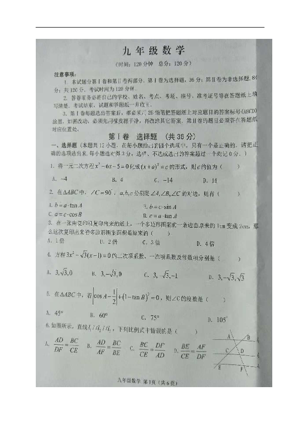 山东省高密市2018-2019学年九年级上学期期中考试数学试题（图片版，含答案）