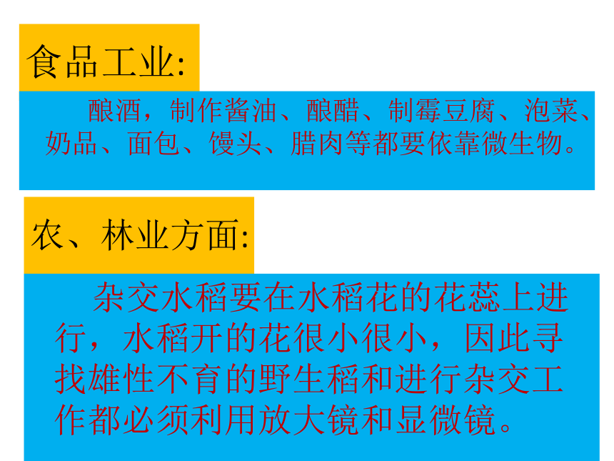 3.2 无处不在的微生物  课件