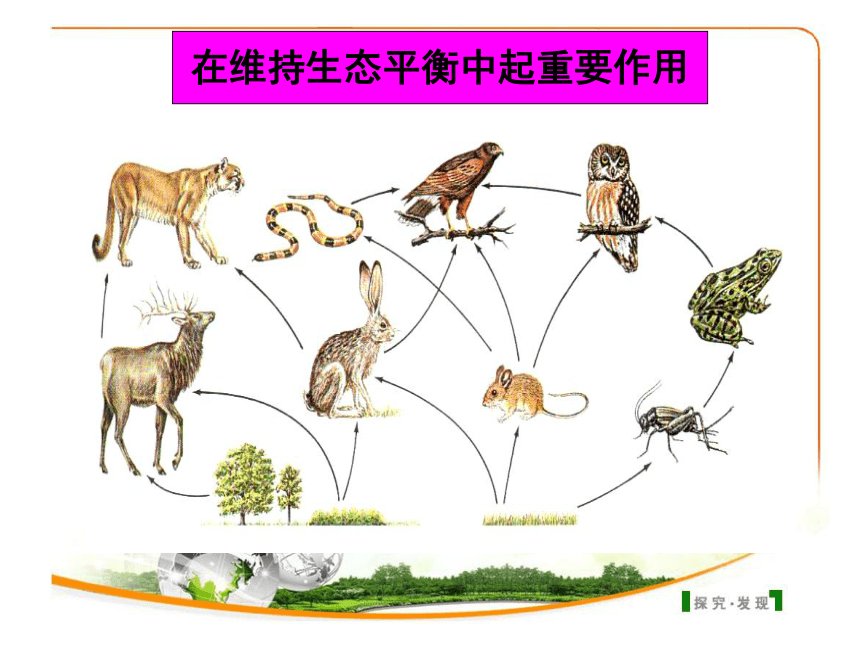 人教版八年级上册生物第五单元第三章动物在生物圈中的作用 (共27张PPT)