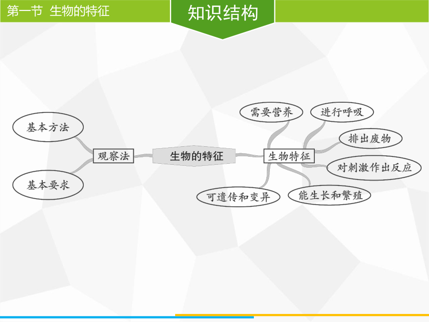 人教版七年级上册生物第一单元第一章第一节生物的特征课件38张ppt