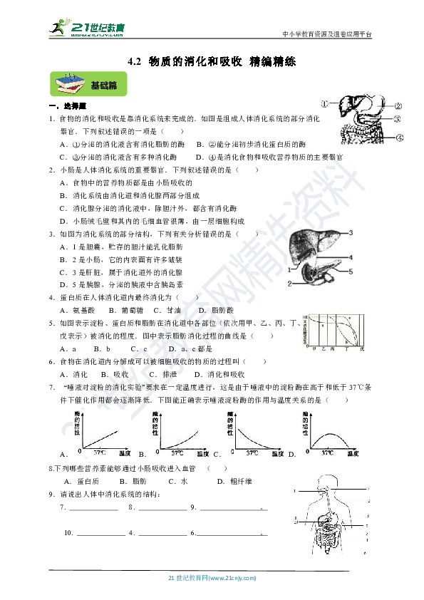 【精编精练】4.2食物的消化和吸收（基础+提高+中考）