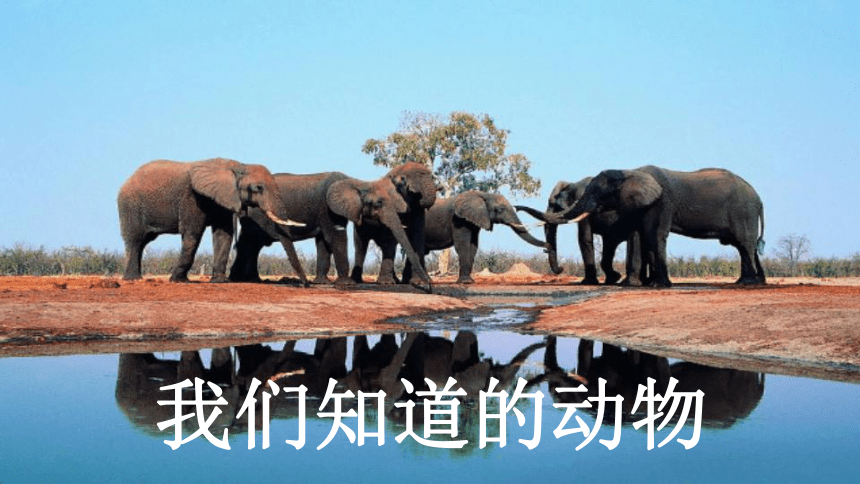 课件预览
