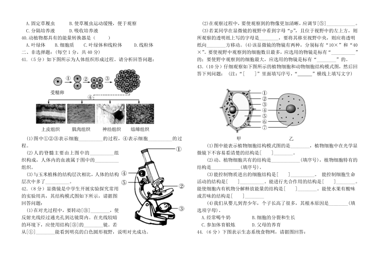 第一、二单元综合测试题（word版含答案）2021-2022学年人教版七年级生物上册