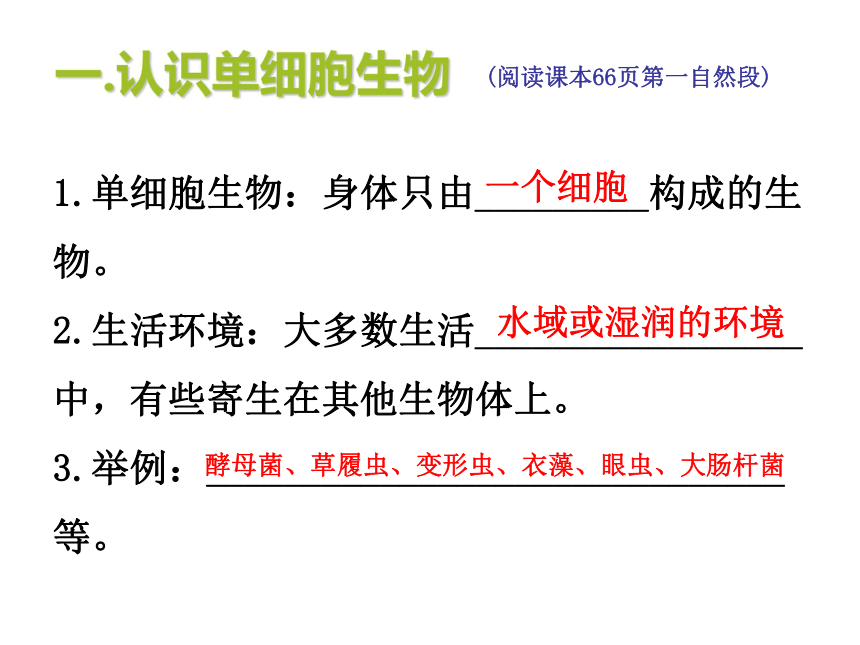 2021--2022学年人教版生物七年级上册2.2.4 单细胞生物  课件(共38张PPT)